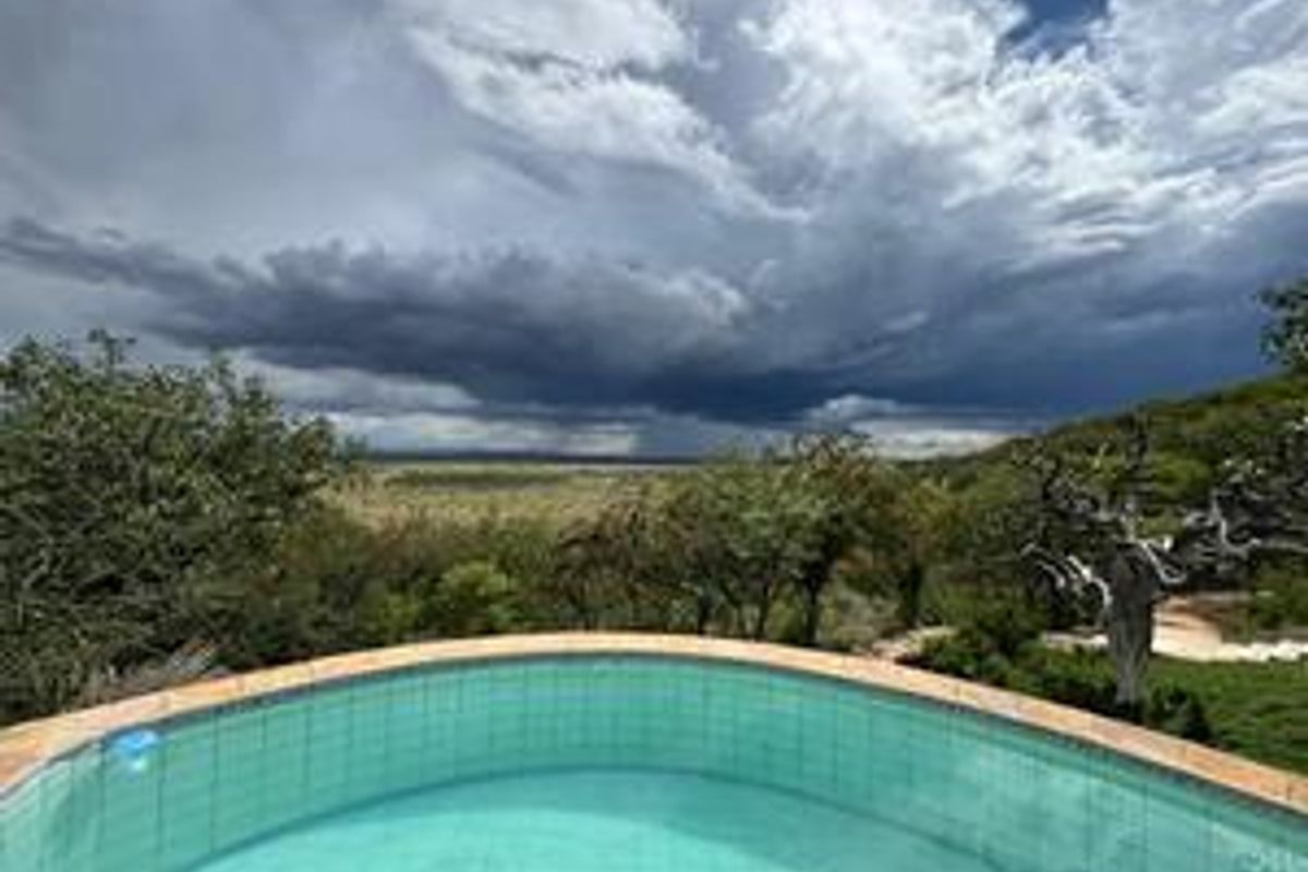 Large-Scale  Game Farm for Sale – Power, Production & Potential - Photo 5