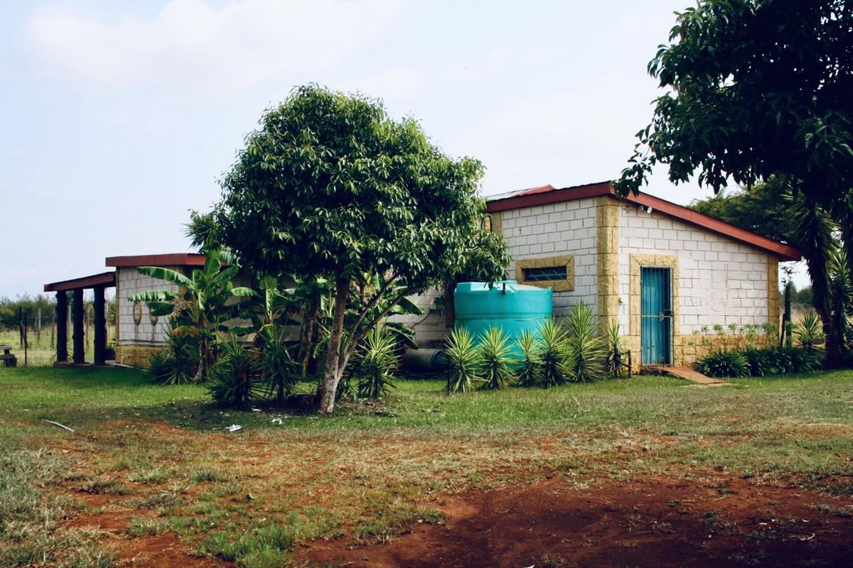 Farm for sale with lots of potential Close to Vryheid - Photo 4