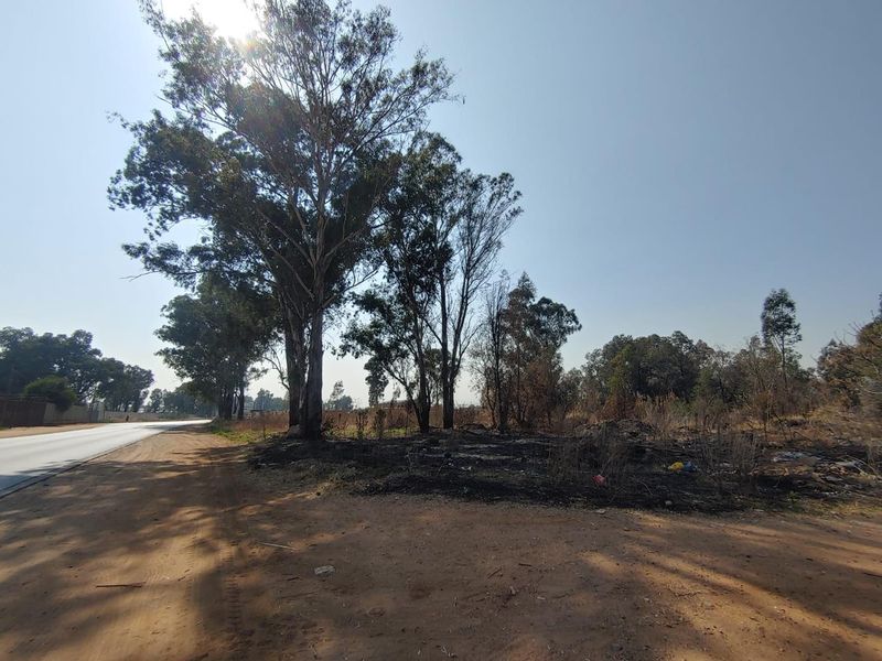 Street view of a vacant commercial plot featuring mature trees, an unpaved verge, and adjacent asphalt road access.