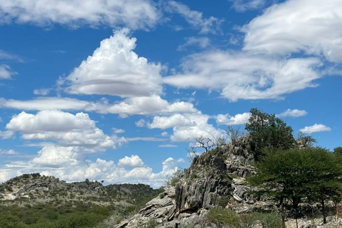 📍 AGRICULTURAL PLOT FOR SALE | NEAR EDEN STRAWBERRY FARM - Photo 2