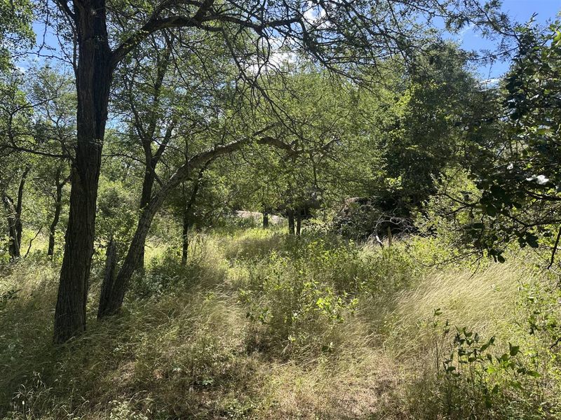 Secure a stunning stand in the bush in this pet friendly and exclusive reserve. - Photo 7