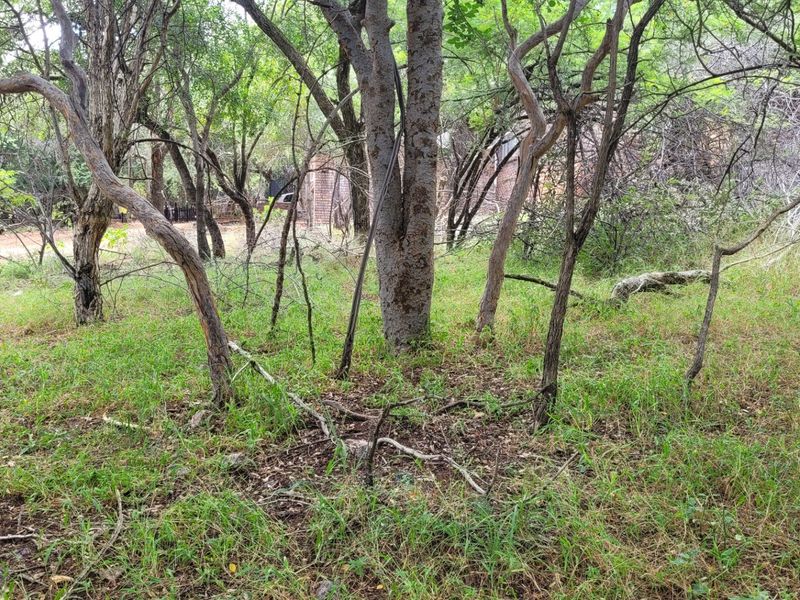 STAND IN TRANQUIL  AREA - Photo 10