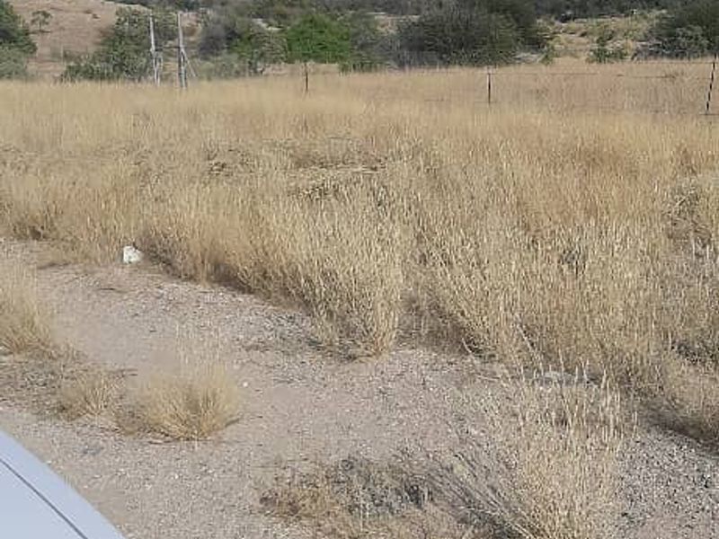 An expansive view of the open veld and natural landscape on the small holding, featuring dry grass and perimeter wire fencing.