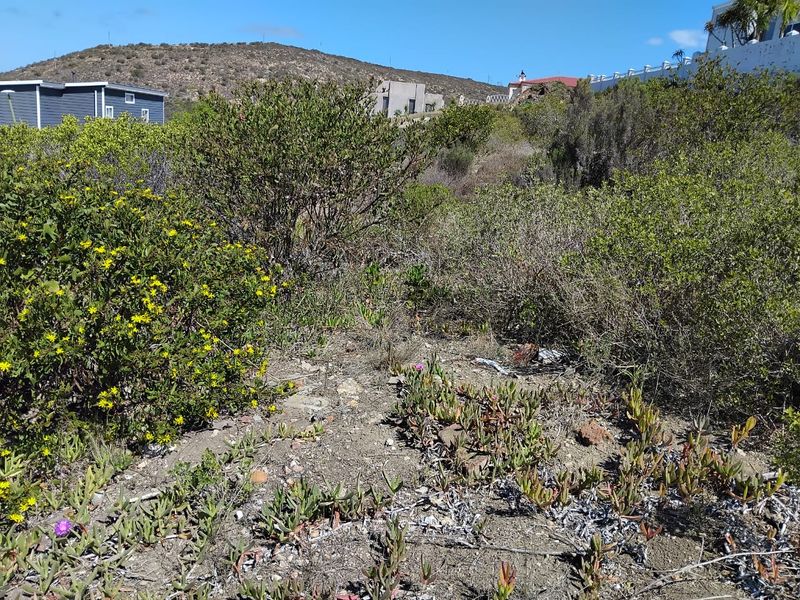 Spacious Vacant Stand in Prime Location – 973m2  : Island View, Mossel bay - Photo 4