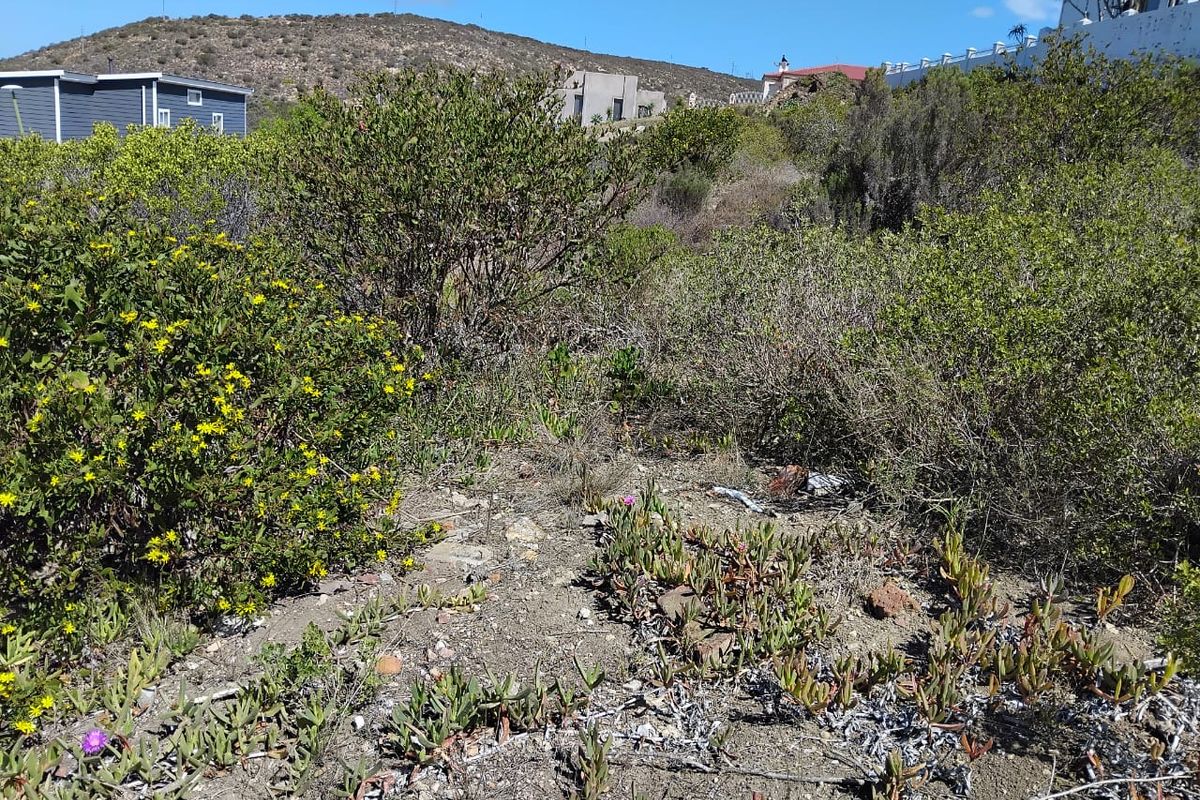 Spacious Vacant Stand in Prime Location – 973m2  : Island View, Mossel bay - Photo 4