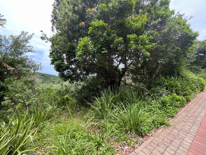 An Exclusive Opportunity to Build a Bespoke Forever Home in Zimbali With Unparalleled, Sweeping Views - Photo 5