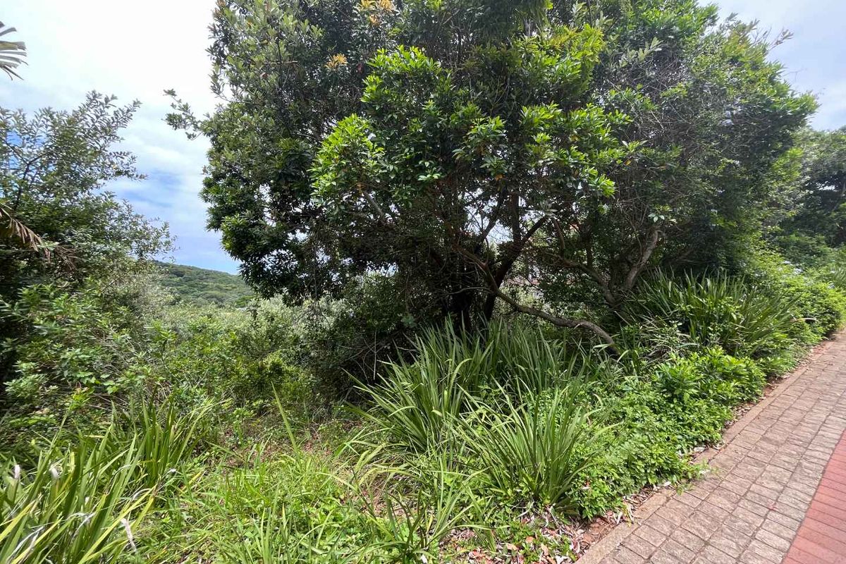 An Exclusive Opportunity to Build a Bespoke Forever Home in Zimbali With Unparalleled, Sweeping Views - Photo 5