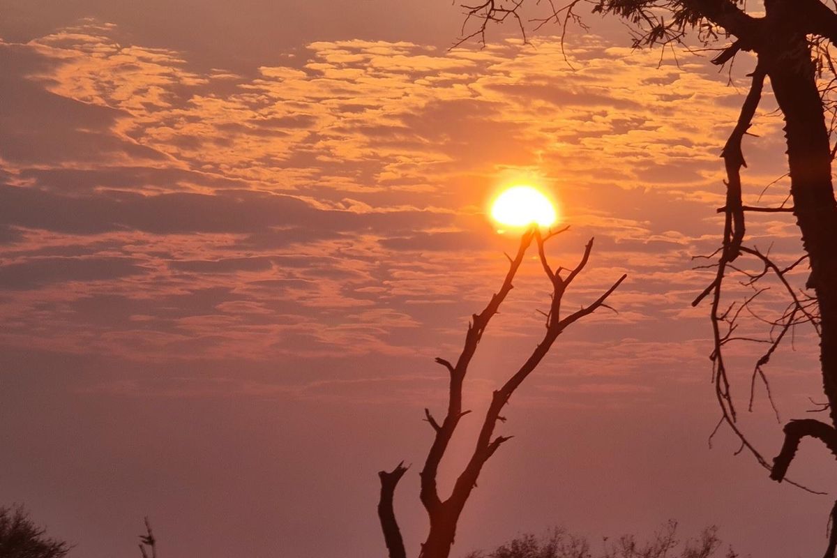 Luxury 6000ha Game Lodge & Stylish Campsite – Prime Tourism Investment! - Photo 5