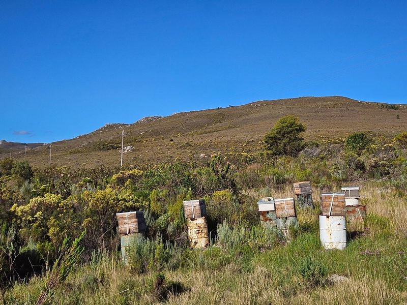 A Dream Come True - Photo 5