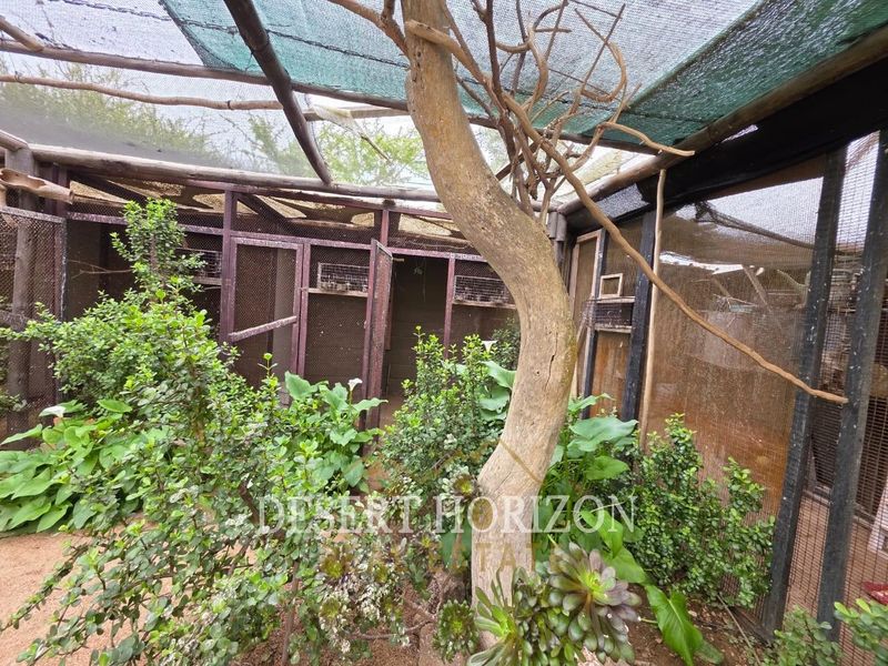 An outdoor garden area featuring a large mesh enclosure structure with timber framing and overhead shade netting.