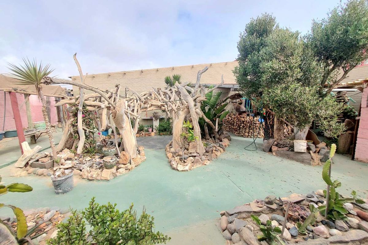 Rear outdoor area featuring a painted concrete patio, stone landscaping, and established trees, offering a rustic space for potential garden improvement.