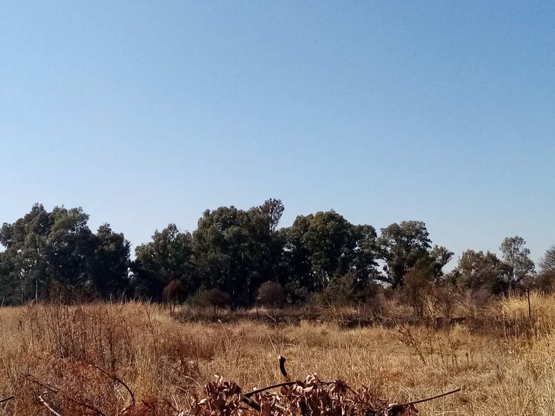 12 HECTARE VACANT LAND FOR COMMERCIAL DEVELOPMENT FOR SALE IN SHERE - JUST OFF GRAHAM ROAD - Photo 6