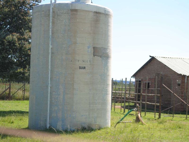 Feast your eyes on this lovely property well suited for Bonafide farming or as an Equestrian property - Photo 8