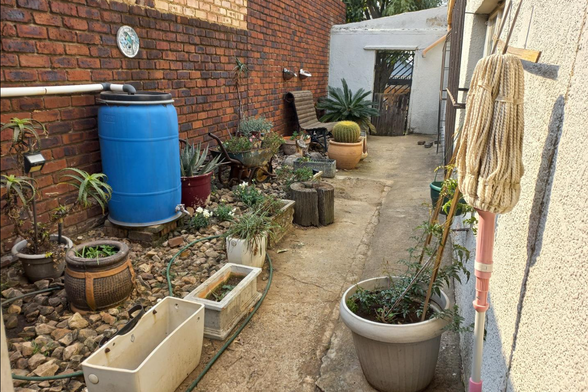 A narrow rear courtyard area featuring a brick boundary wall, concrete pathway, and a rainwater collection system.