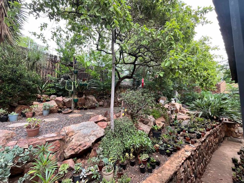 Close to nature in the city! - Photo 2