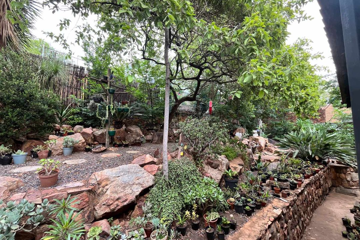 Close to nature in the city! - Photo 2