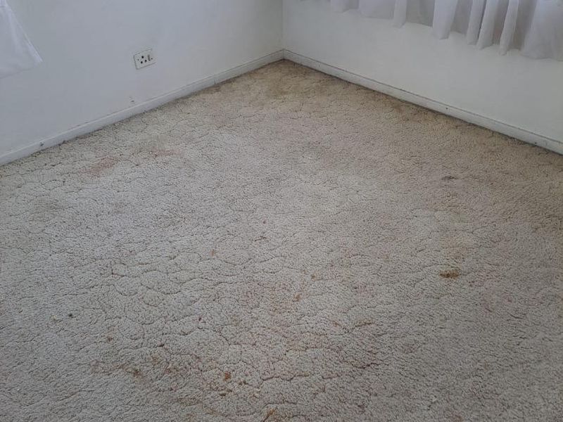 1.5 Bedroom Apartment in Carrington Heights, Glenmore - Photo 6