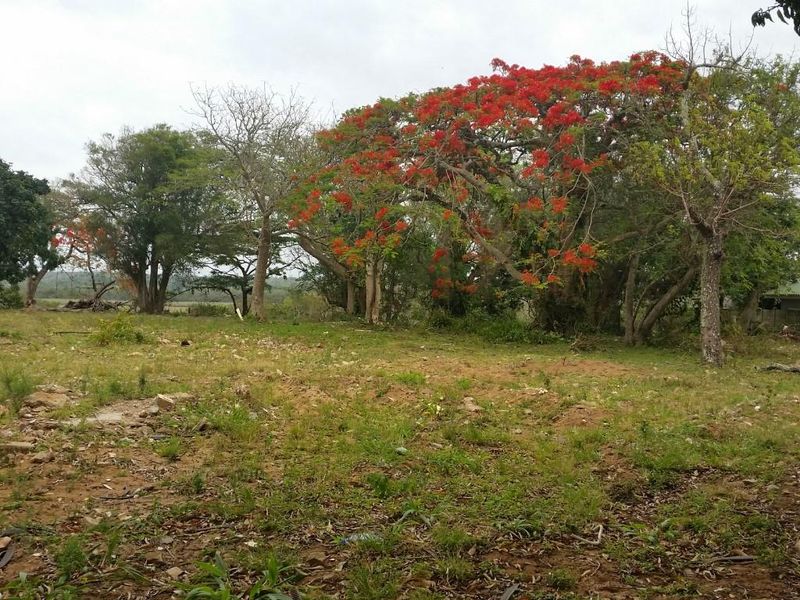 Vacant Land in ST LUCIA - Photo 8