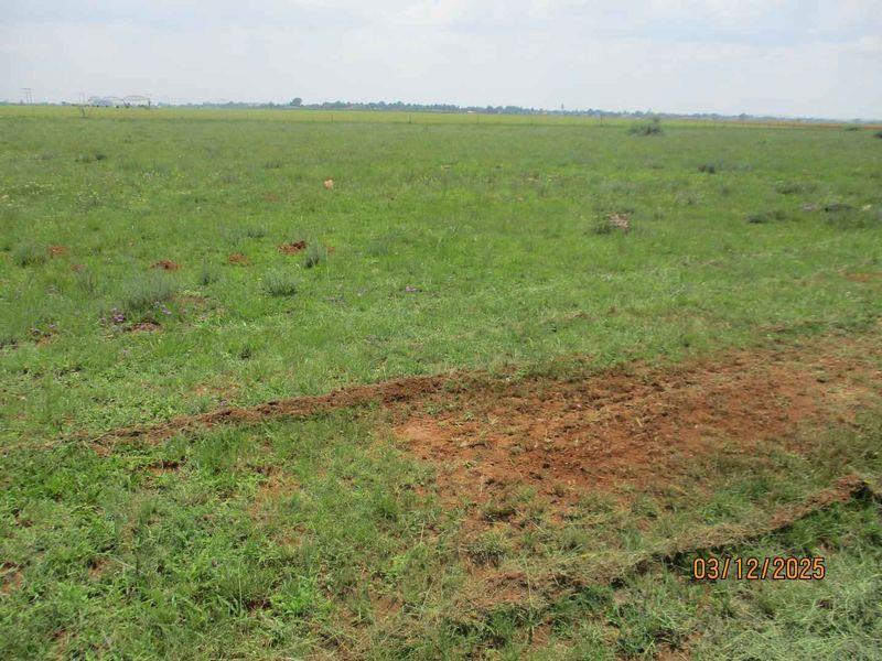 Enjoy the peace and tranquility of Henley on Klip - Photo 4