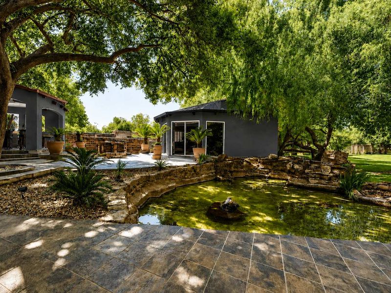A tranquil garden setting featuring a stone-lined pond, mature trees, and a tiled patio area adjacent to a detached outbuilding.