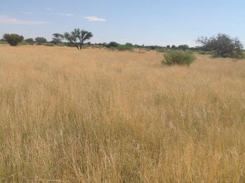 GORGEOUS CATTLE / SHEEP / GAME FARM FOR SALE IN STAMPRIET - Photo 10