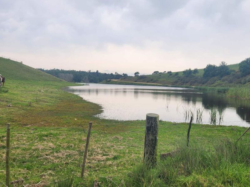 A scenic view of a natural dam on the farm property, featuring rolling green hills and perimeter wire fencing.