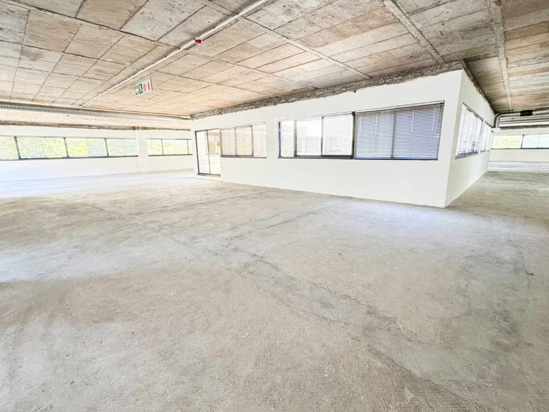 Spacious open-plan office area featuring an industrial aesthetic with exposed concrete ceilings, concrete flooring, and large windows with fitted blinds.