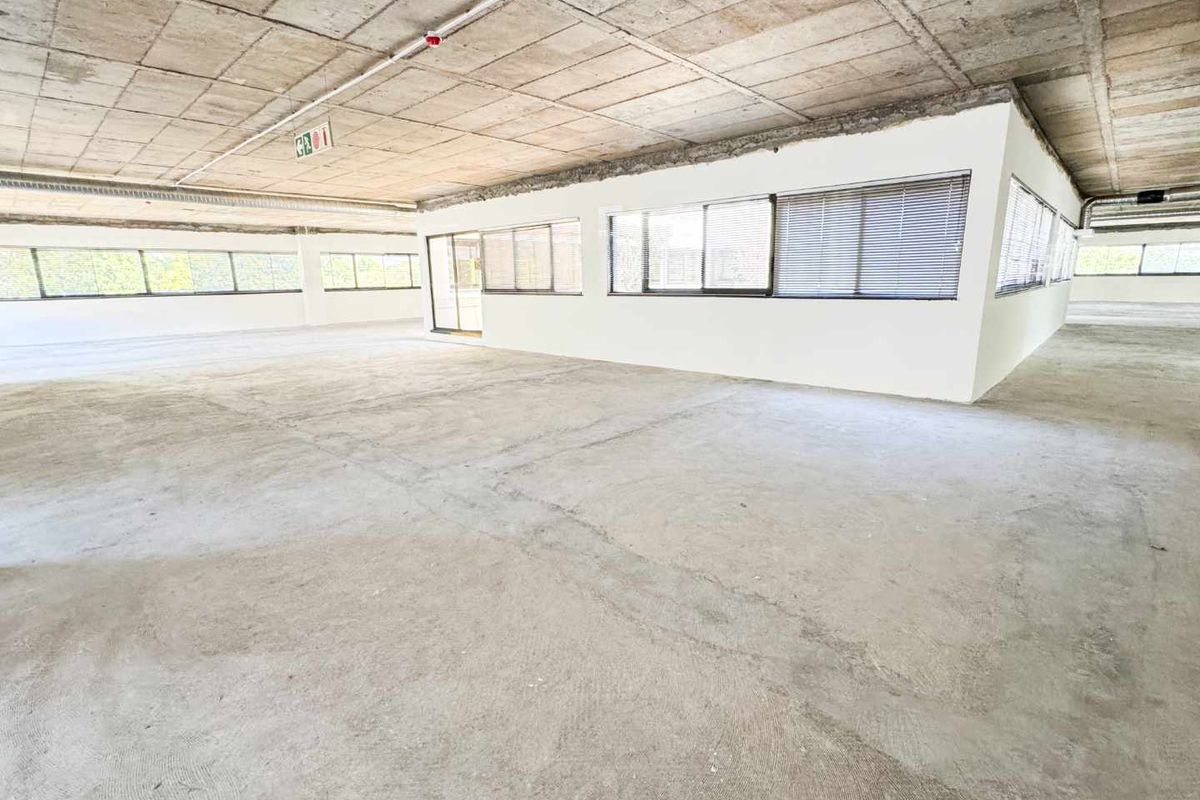 Spacious open-plan office area featuring an industrial aesthetic with exposed concrete ceilings, concrete flooring, and large windows with fitted blinds.