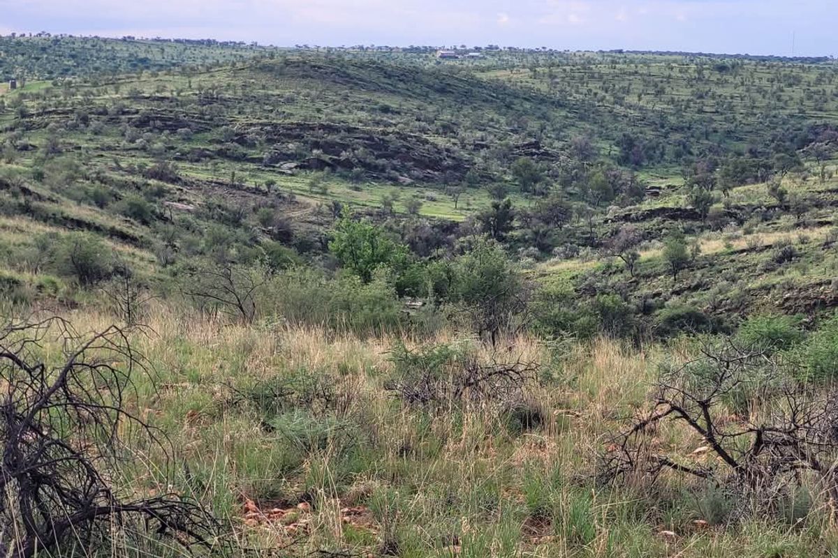 Vacant 13HA undeveloped land for Sale in Daan Viljoen area - Photo 5