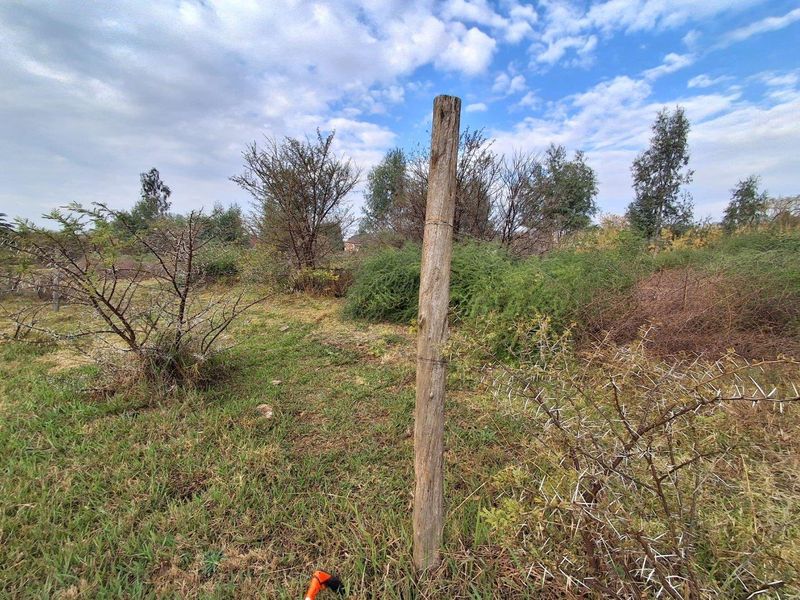 Vacant Land for Sale in Riversdale - Photo 4