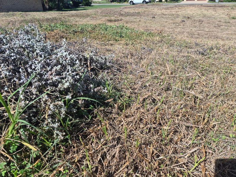 Prime 987m2 Vacant Stand in Hersham, Groot Brak Rivier on the Garden Route - Photo 9