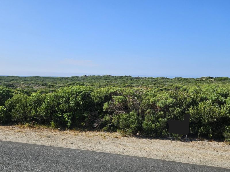 Business Opportunity - Photo 8