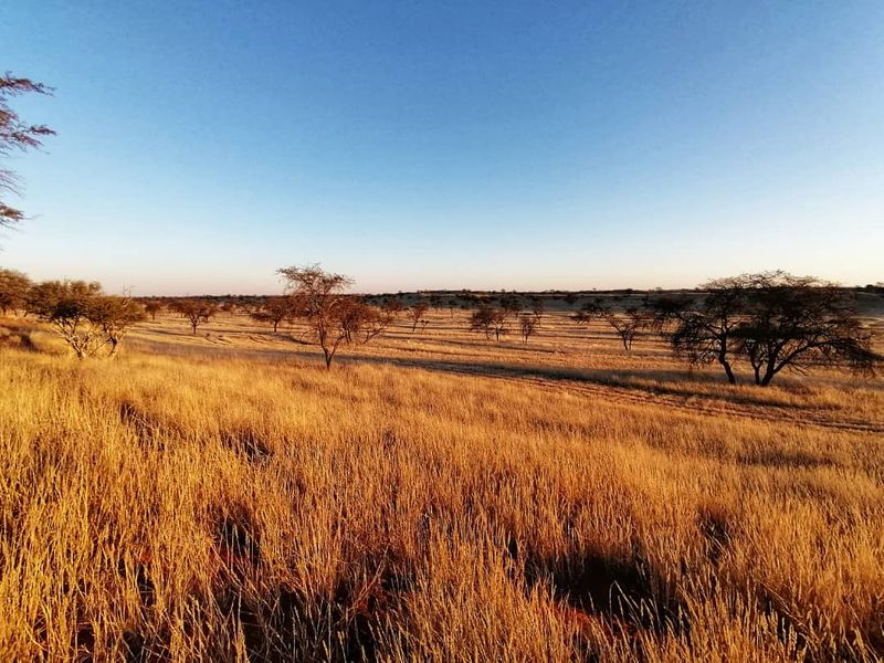 OWN YOUR PIECE OF NAMIBIA - FARM FOR SALE IN NAMIBIA - Photo 4