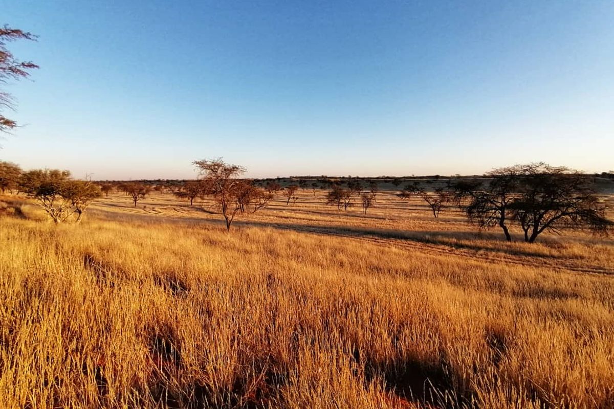 OWN YOUR PIECE OF NAMIBIA - FARM FOR SALE IN NAMIBIA - Photo 4
