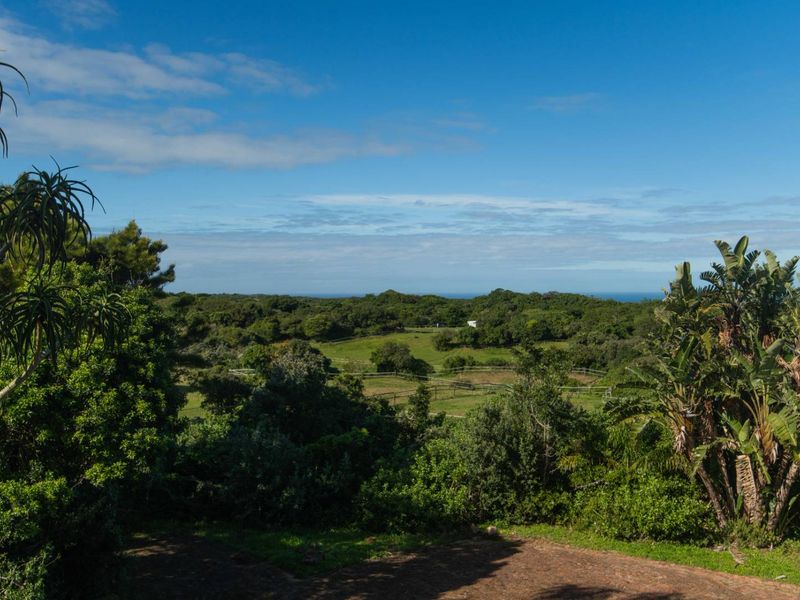 A scenic elevated view overlooking lush green coastal vegetation, open fields, and distant ocean horizon.