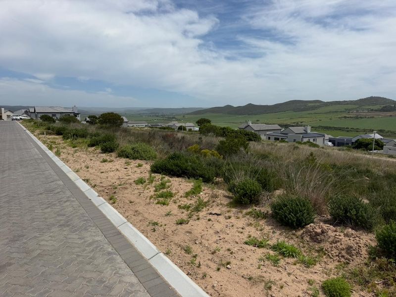 A view of the paved street and curbing bordering the vacant residential land, showcasing the surrounding landscape and neighborhood context.