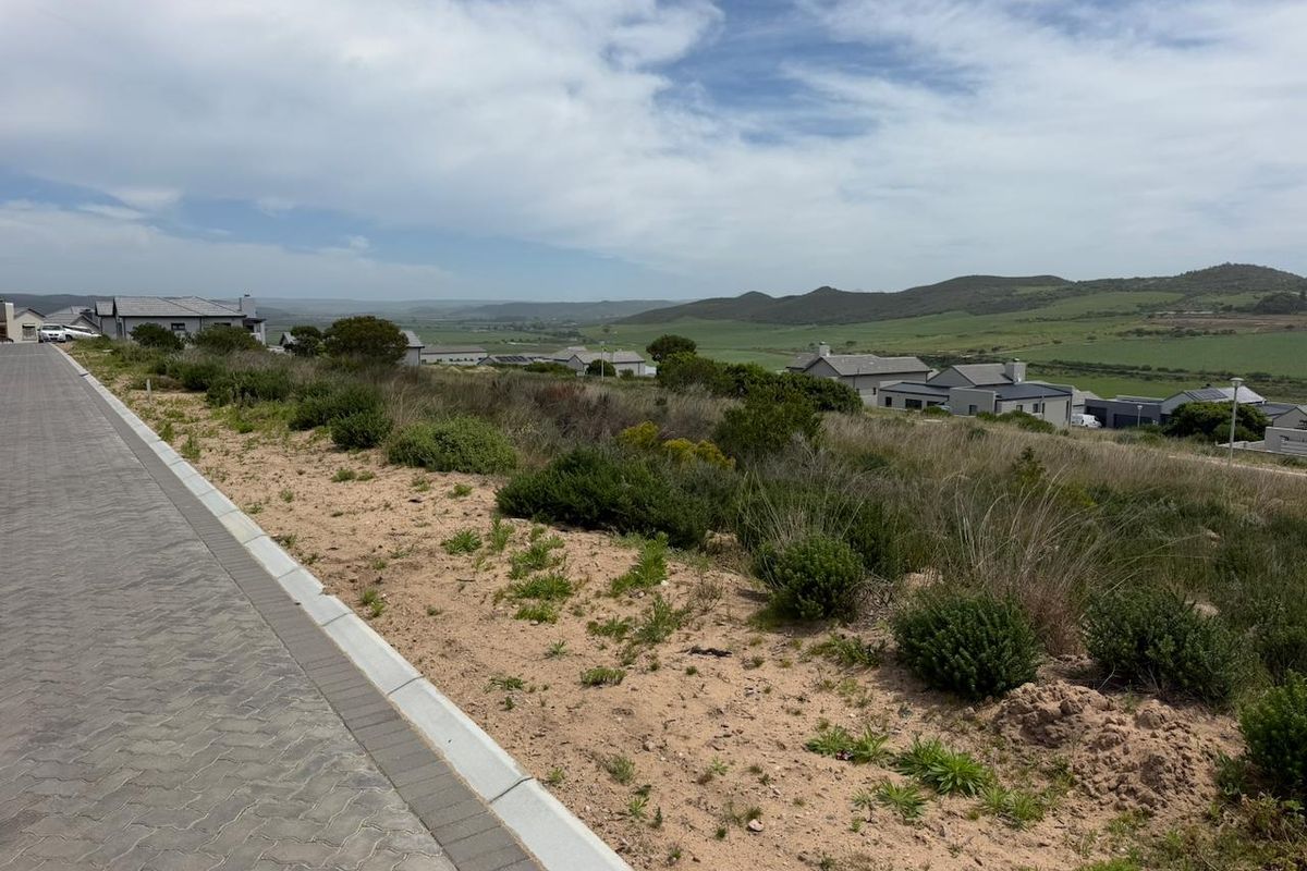A view of the paved street and curbing bordering the vacant residential land, showcasing the surrounding landscape and neighborhood context.