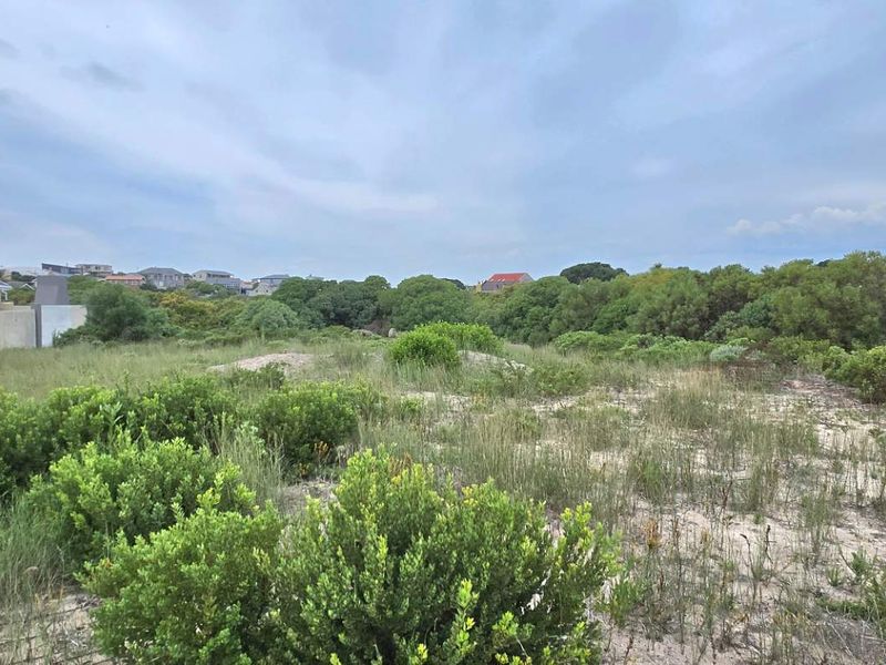 Spacious Coastal Stand In Growing Kleinbaai Area With Great Value - Photo 7