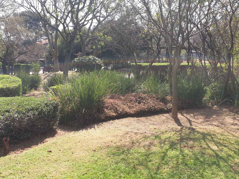 A view of a landscaped garden area featuring mature trees, established hedges, and lawn space.