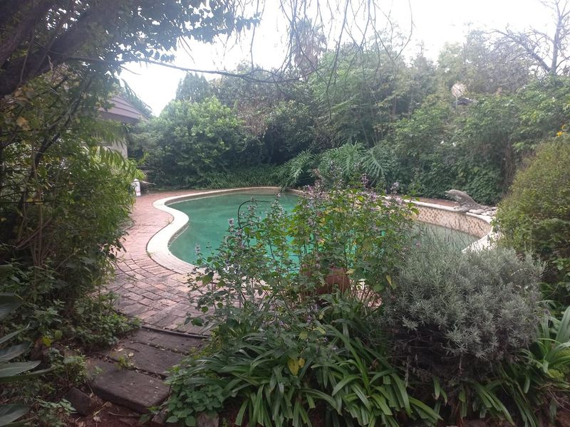 4 Bedroom House for sale in Doringkloof!! - Photo 5