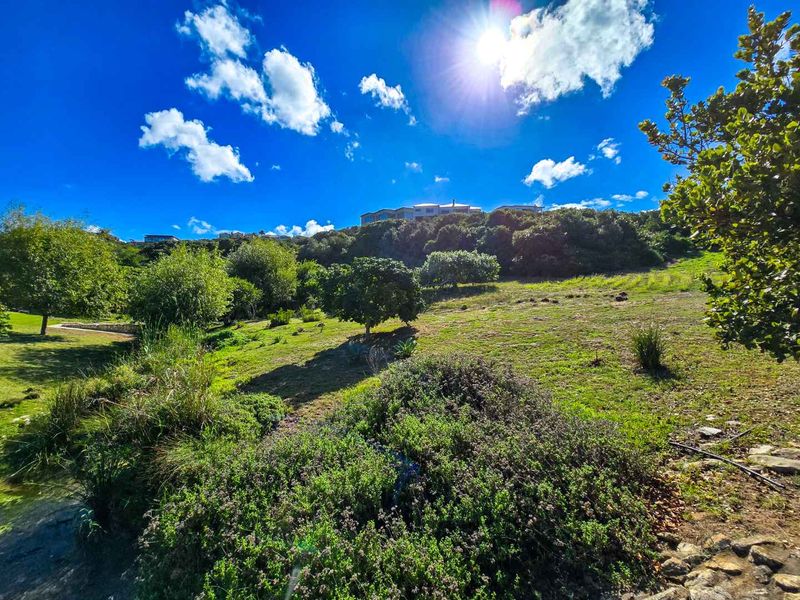 Prime vacant stand for sale in Stilbaai-Wes. - Photo 6