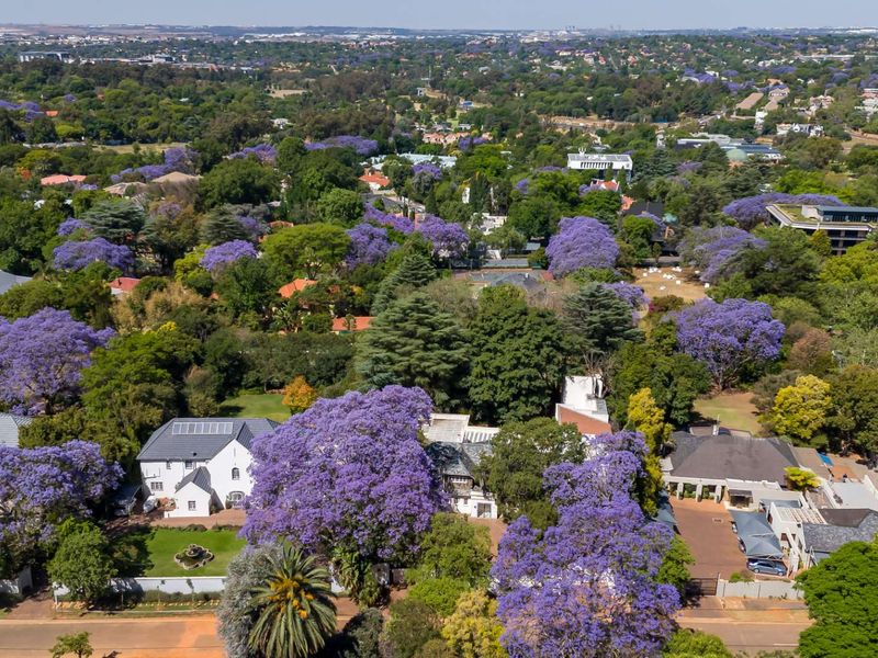 CALLING ALL DEVELOPERS - PRIME PIECE OF LAND IN THE HEART OF MELROSE - Photo 2