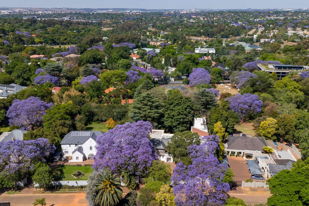 CALLING ALL DEVELOPERS - PRIME PIECE OF LAND IN THE HEART OF MELROSE - Photo 2