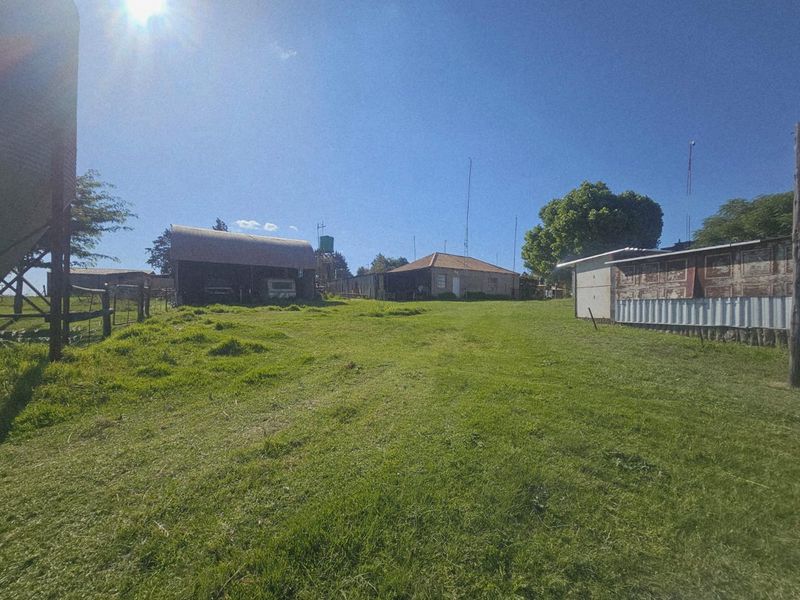 Well-Watered Mixed-Farming Opportunity in the Ladybrand District - Photo 5