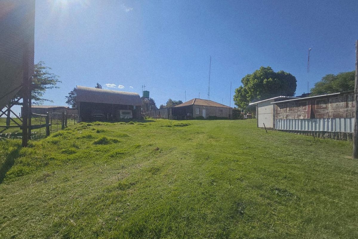 Well-Watered Mixed-Farming Opportunity in the Ladybrand District - Photo 5