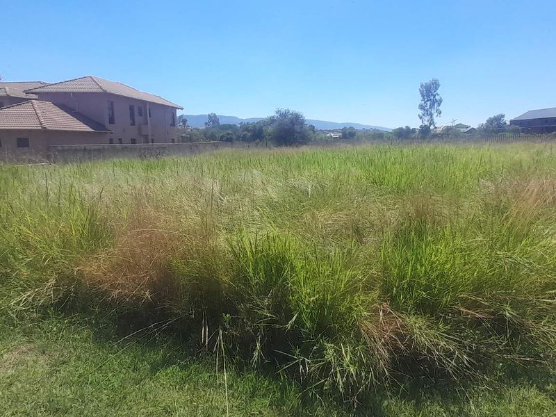 Large Flat Stand Jacana Bay! - Photo 4