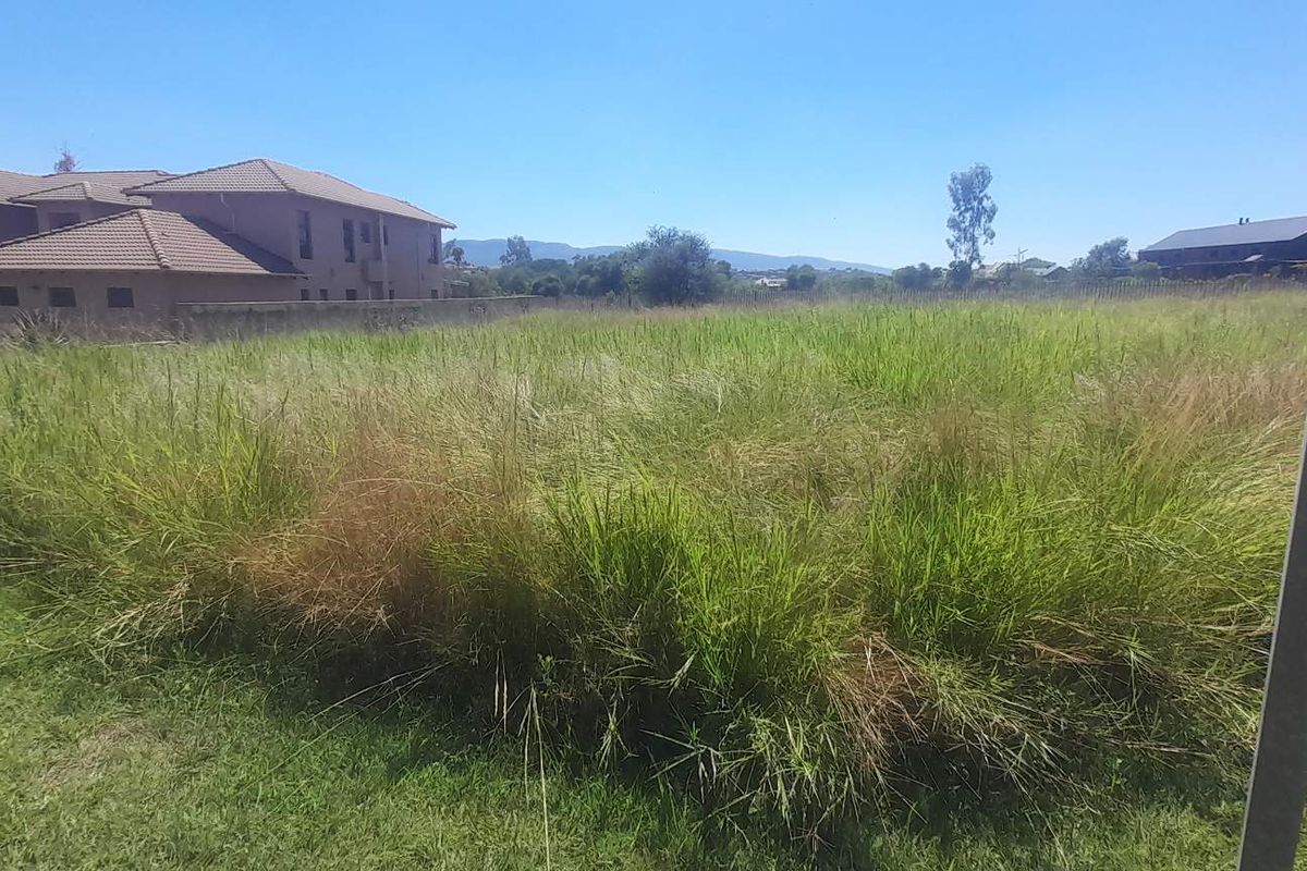 Large Flat Stand Jacana Bay! - Photo 4