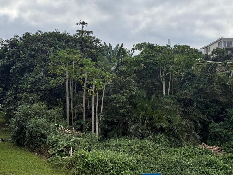 Vacant land in Tinley Manor - Photo 10