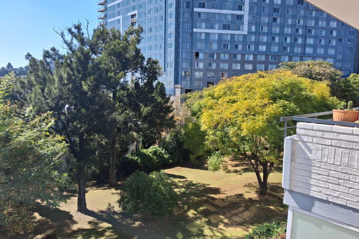 A BEAUTIFUL SUNNY ONE BEDROOM APARTMENT - Photo 2