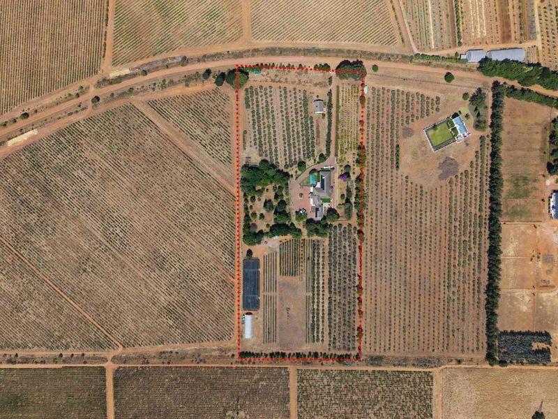 Life-style Olive Farm With Established Operations and Quality Infrastructure - Photo 3